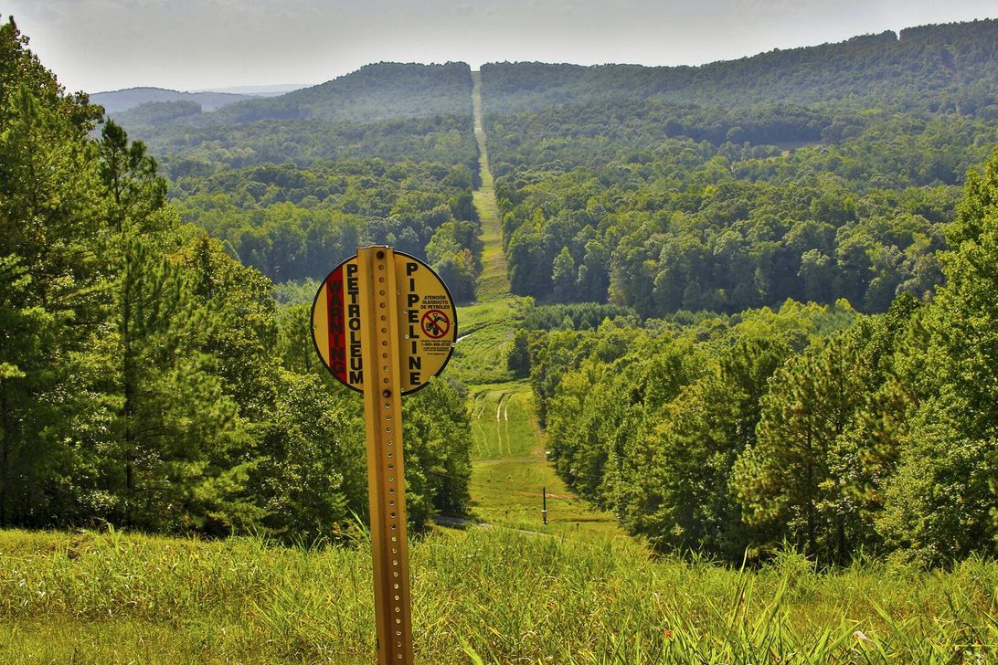 A fuel pipeline right-of-way, like a wide, grassy path, stretches into the distance, through a forest. A yellow sign in the foreground alerts people to the presence of the petroleum pipeline.