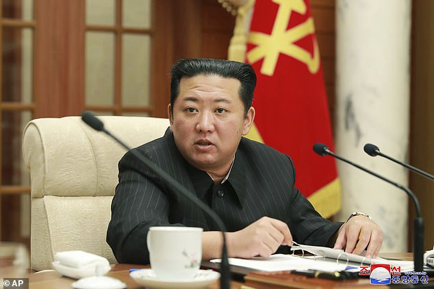 In the isolationist state ruled by Kim Jong Un (pictured) , just a small number of trusted officials and academics are permitted to use the World Wide Web. At the same time, only a small number of North Korean websites are connected to the wider global internet.