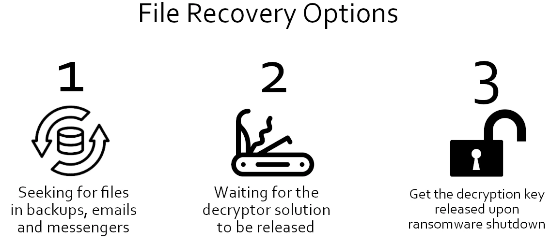 File recovery options